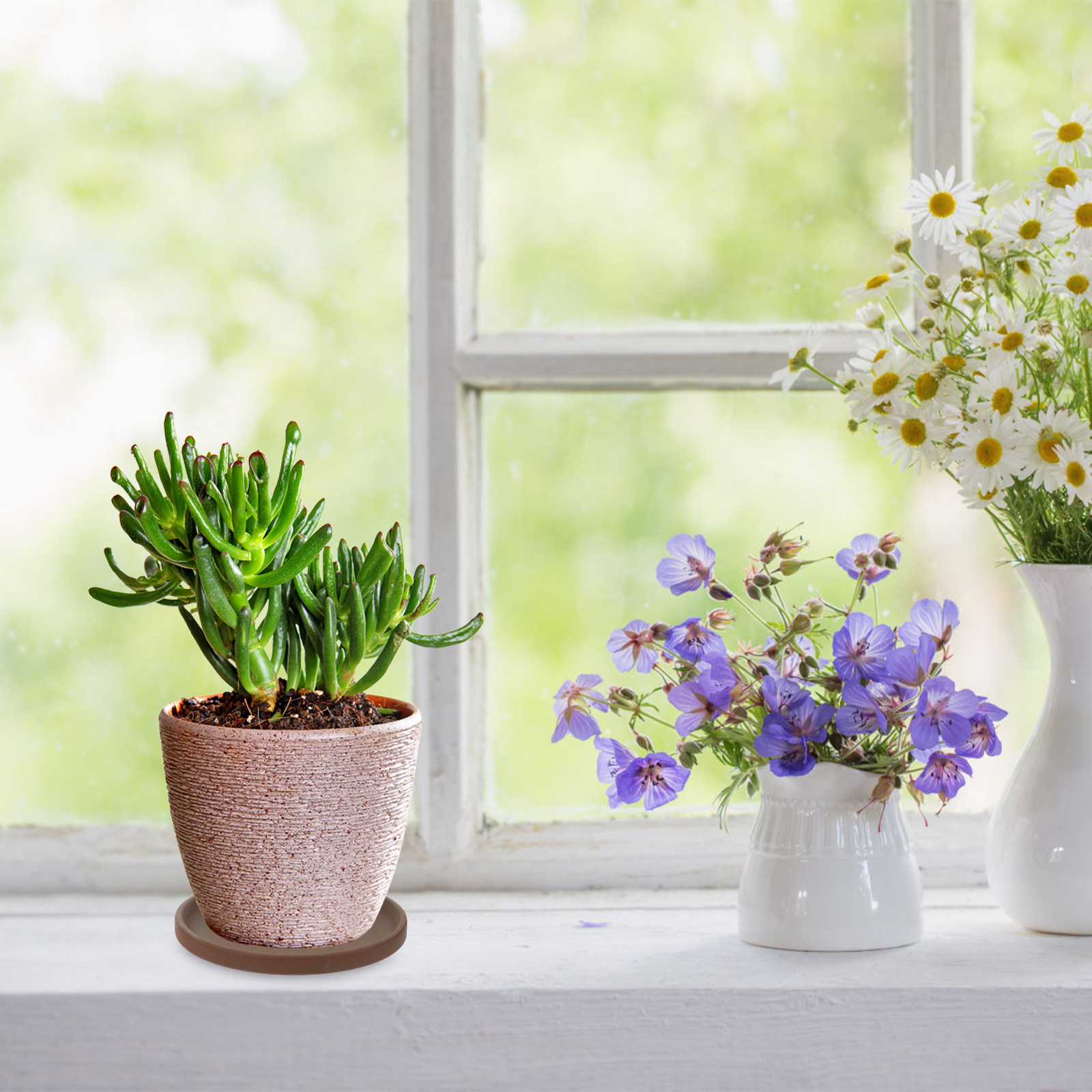 Plateau en céramique pour pot  - Drip Tray Saucer avis et prix