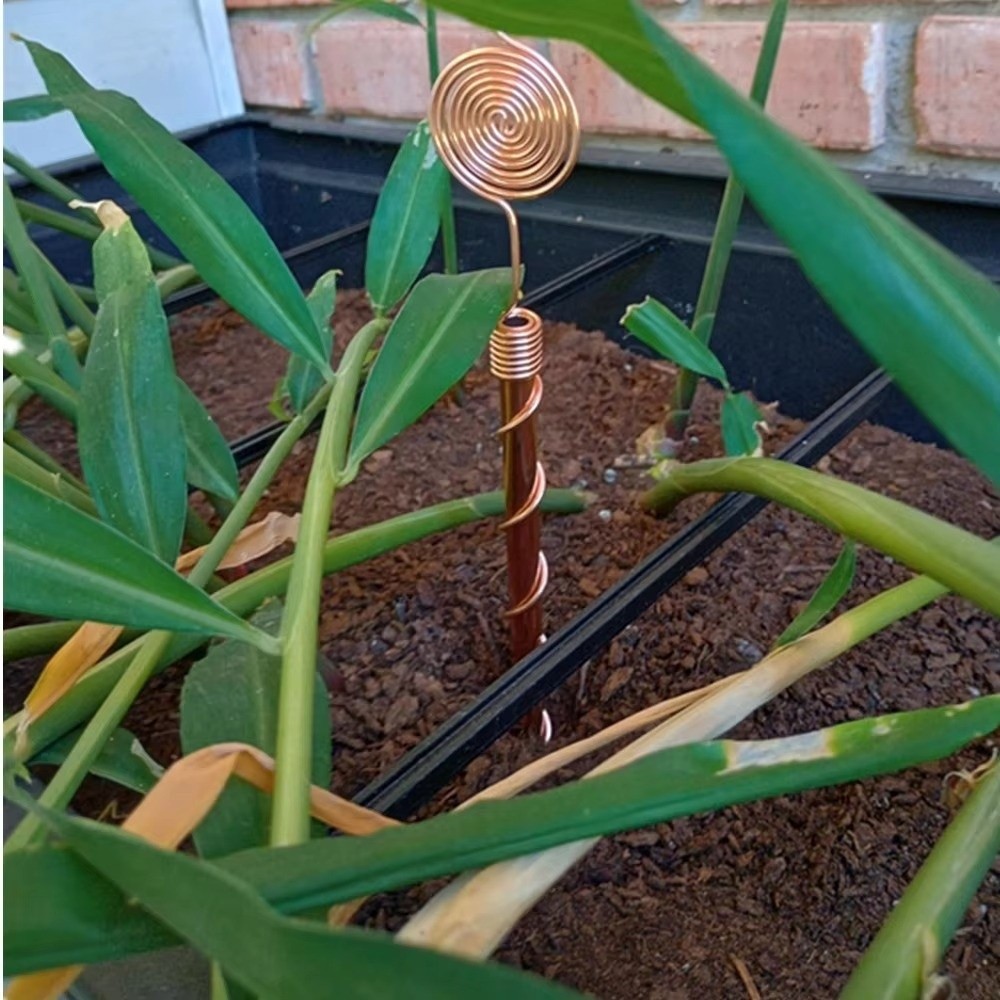Piquets de jardin en spirale p - Copper Wire Roll avis et prix