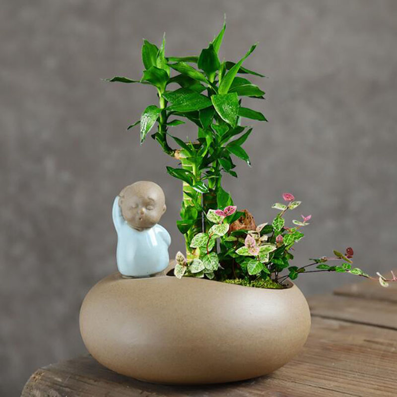 Pot de fleurs de moine en céra - Bonsai Garden Art avis et prix