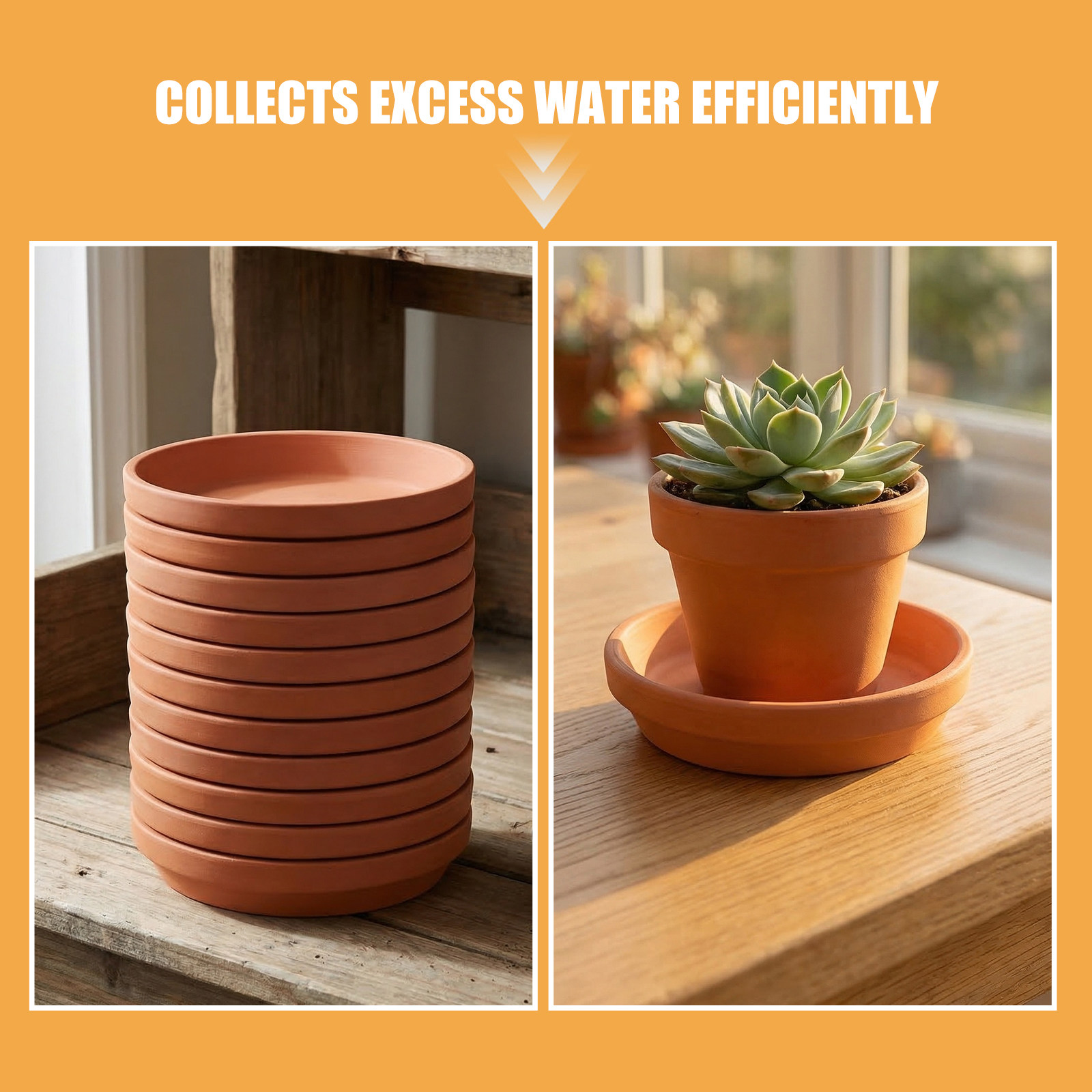 12 soucoupes pour pots de plan - Drip Tray Saucer avis et prix