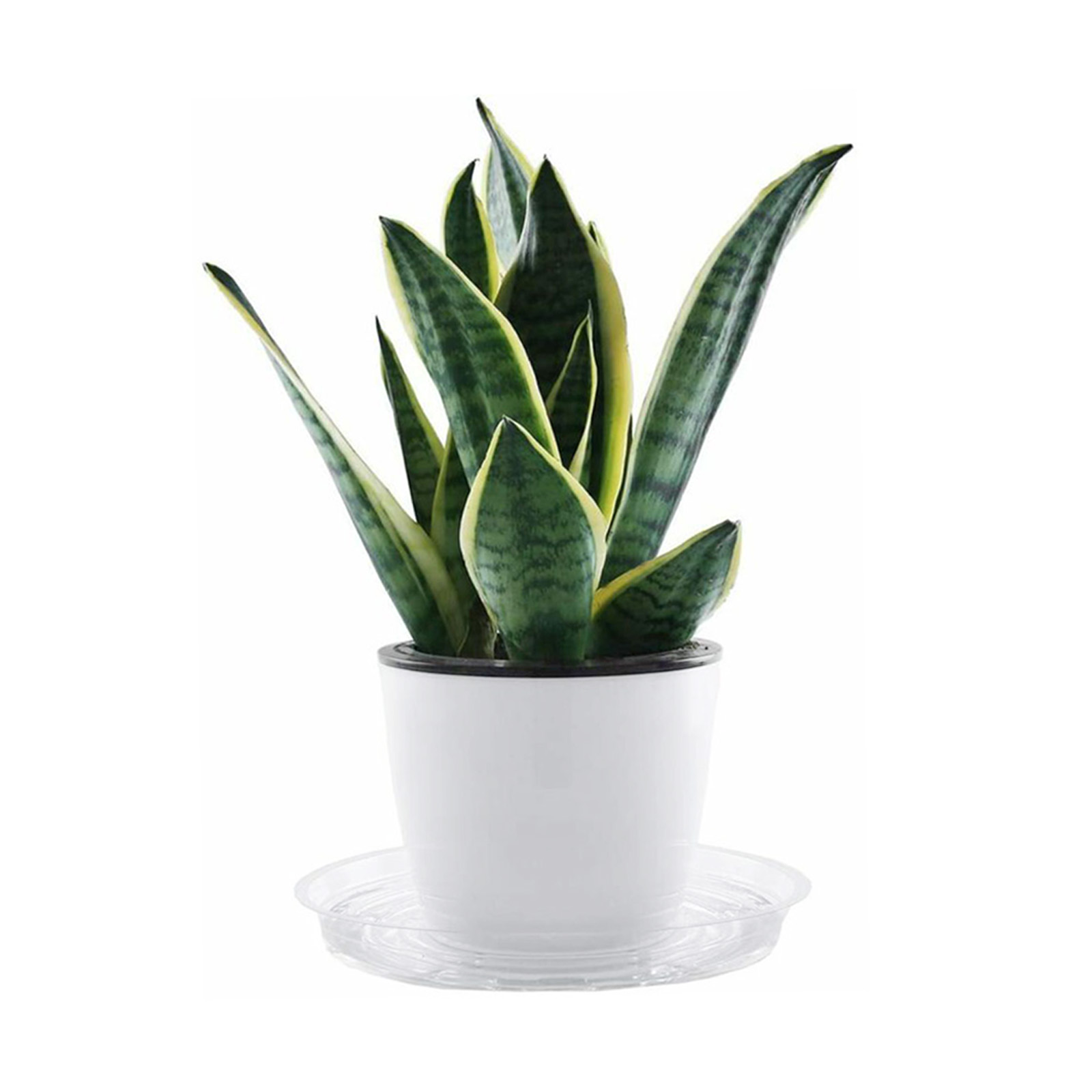Soucoupe pour plantes de jardi - Drip Tray Saucer avis et prix