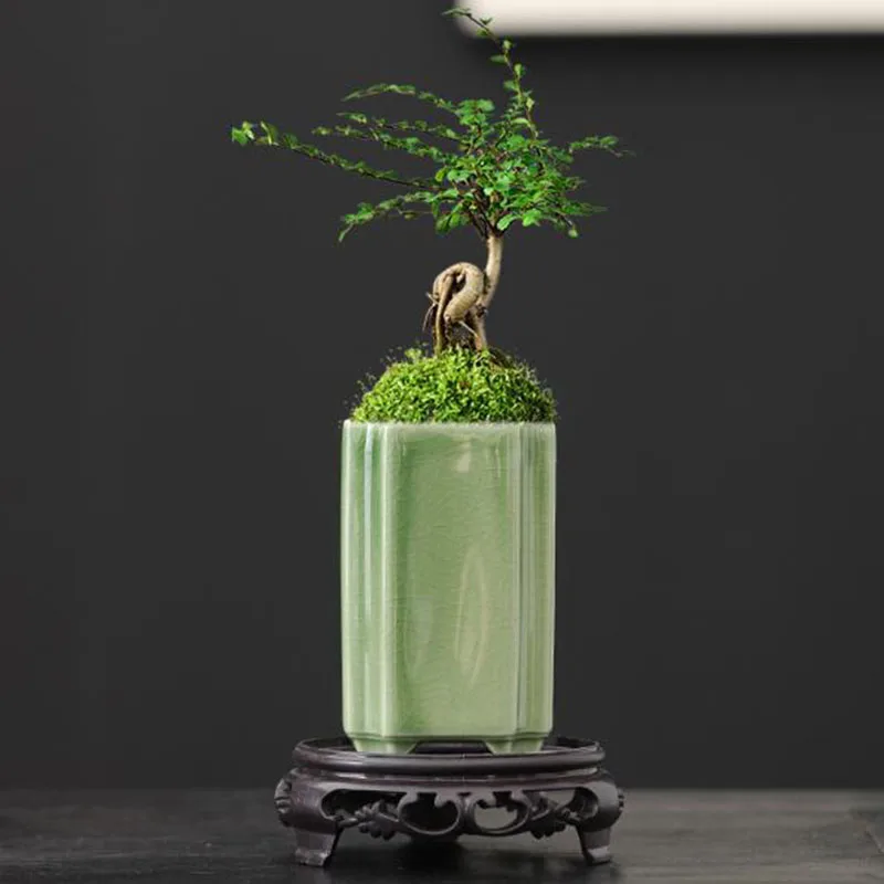 Pot à fleurs en céramique carr - Bonsai Garden Art avis et prix